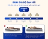 Nệm Cao Su Non Hoạt Tính Trung Nguyên Gấp 2