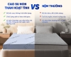 Nệm Cao Su Non Hoạt Tính Trung Nguyên Gấp 2