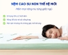 Nệm Cao Su Non Trung Nguyên Gấp 2