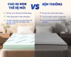 Nệm Cao Su Non Trung Nguyên Gấp 2