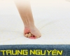 Nệm Cao Su Thiên Nhiên Trung Nguyên Legend