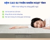 Nệm Cao Su Thiên Nhiên Trung Nguyên Than Hoạt Tính