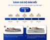 Nệm Lò Xo Túi Độc Lập Gold Hybrid Trung Nguyên