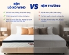 Nệm Lò Xo Túi Độc Lập Wind Hybrid Trung Nguyên