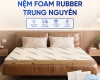Nệm Rubber Foam Trung Nguyên
