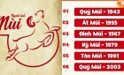 Tuổi Mùi sinh năm bao nhiêu? Mệnh gì? Hợp màu và tuổi nào?