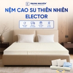 Nệm Cao Su Thiên Nhiên Trung Nguyên Classic