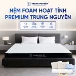 Nệm Foam Hoạt Tính Premium Trung Nguyên