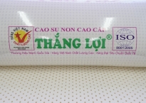 Top 5 loại nệm Thắng Lợi gấp 3 được ưa chuộng nhất hiện nay trên thị trường