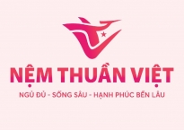 Nệm cao su Thuần Việt có tốt không? Có nên chọn mua nệm cao su Thuần Việt không?