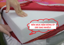 Nên Mua Nệm Bông Ép Dày Bao Nhiêu?