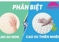 So sánh nệm cao su thiên nhiên và cao su non chi tiết nhất