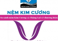 So sánh nệm Kim Cương và Thắng Lợi loại nào tốt hơn?