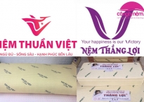 So sánh nệm Thắng Lợi và Thuần Việt loại nào tốt hơn?