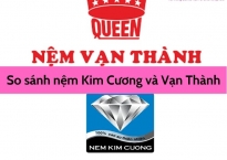 So sánh nệm Kim Cương và Vạn Thành chi tiết nhất