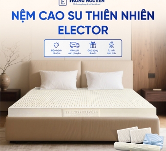 Nệm Cao Su Thiên Nhiên Trung Nguyên Classic