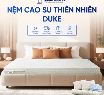 Nệm Cao Su Thiên Nhiên Trung Nguyên Gold