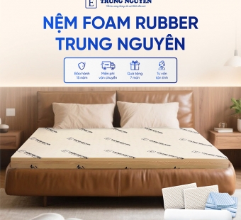 Nệm Rubber Foam Trung Nguyên