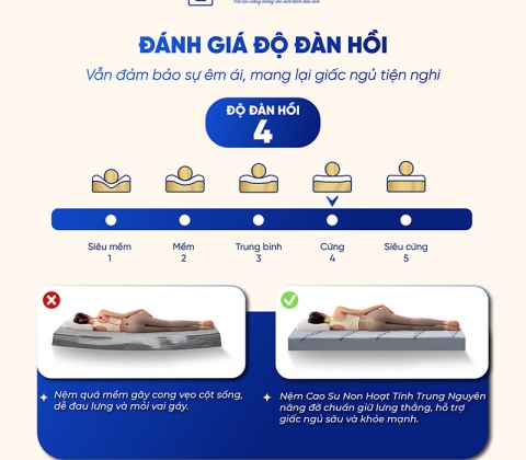 Nệm Cao Su Non Hoạt Tính Trung Nguyên Gấp 2