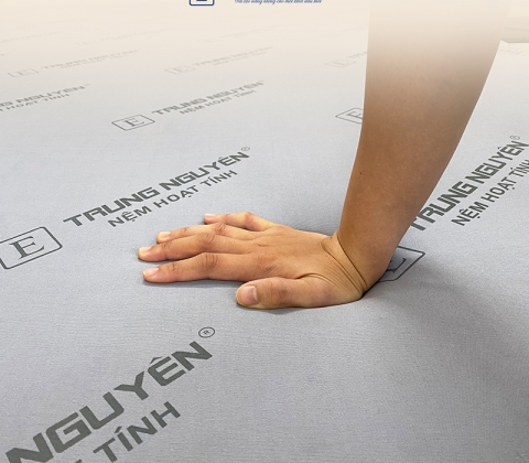 Nệm Cao Su Non Hoạt Tính Trung Nguyên Gấp 2