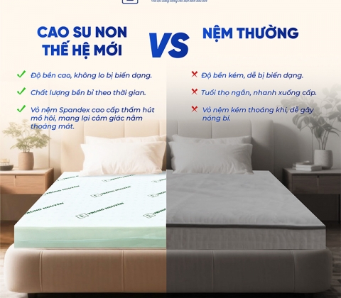 Nệm Cao Su Non Trung Nguyên Gấp 2