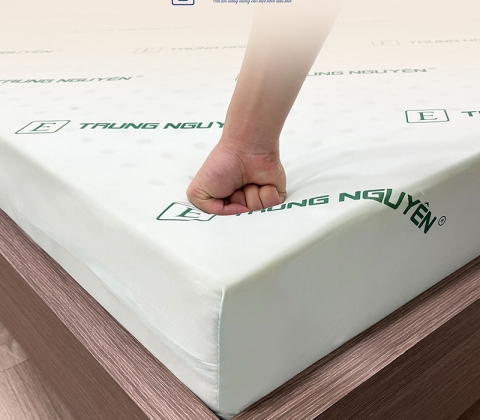 Nệm Cao Su Non Trung Nguyên Gấp 2