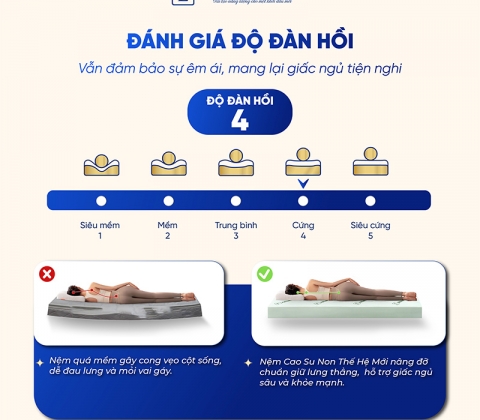 Nệm Cao Su Non Trung Nguyên Gấp 3