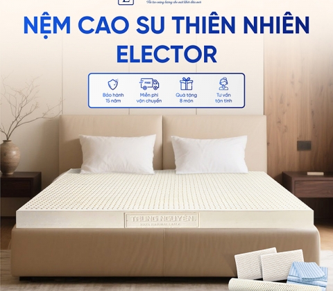 Nệm Cao Su Thiên Nhiên Trung Nguyên Classic