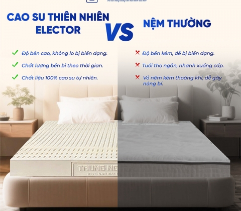 Nệm Cao Su Thiên Nhiên Trung Nguyên Classic