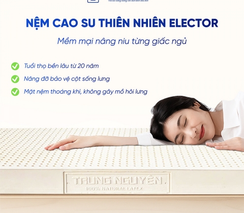 Nệm Cao Su Thiên Nhiên Trung Nguyên Classic