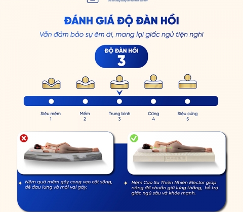 Nệm Cao Su Thiên Nhiên Trung Nguyên Classic