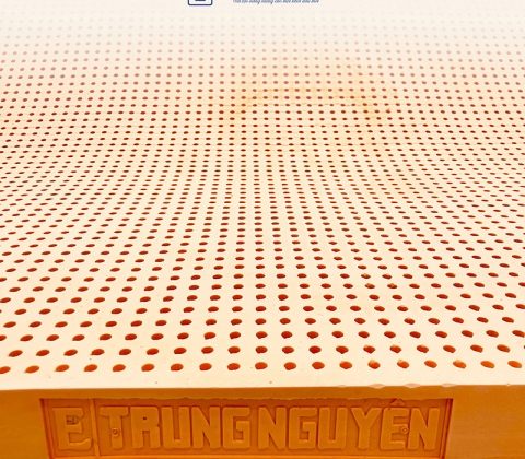 Nệm Cao Su Thiên Nhiên Trung Nguyên Gold
