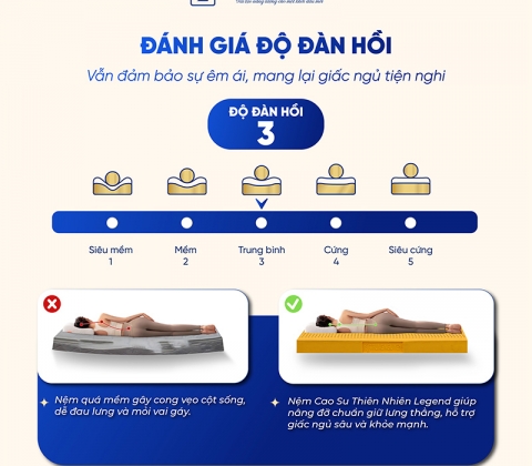  Nệm Cao Su Thiên Nhiên Trung Nguyên Legend