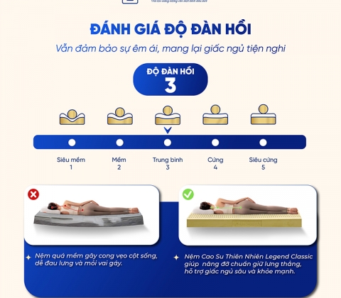 Nệm Cao Su Thiên Nhiên Trung Nguyên Legend Classic