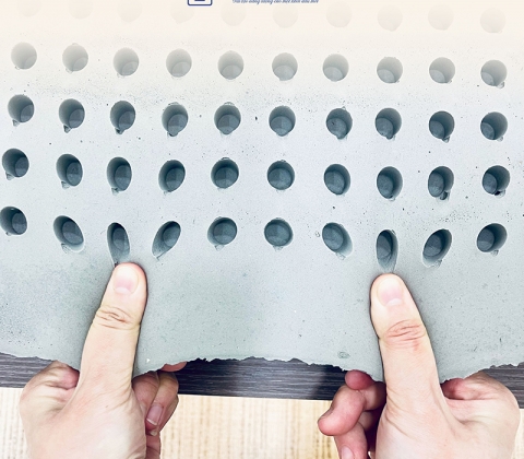 Nệm Cao Su Thiên Nhiên Trung Nguyên Legend Special