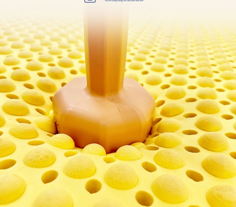 Nệm Cao Su Thiên Nhiên Trung Nguyên Massage