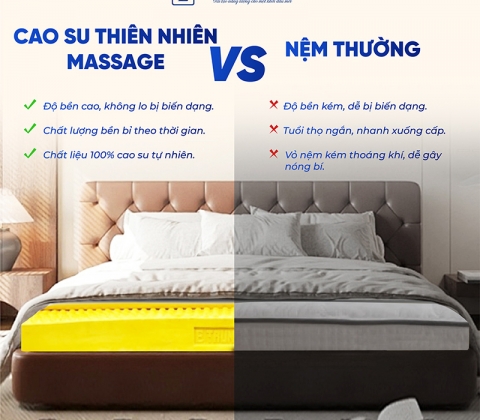 Nệm Cao Su Thiên Nhiên Trung Nguyên Massage