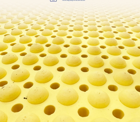 Nệm Cao Su Thiên Nhiên Trung Nguyên Massage