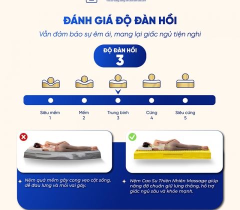 Nệm Cao Su Thiên Nhiên Trung Nguyên Massage