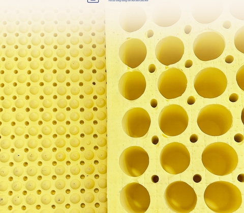 Nệm Cao Su Thiên Nhiên Trung Nguyên Massage