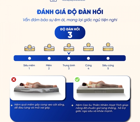 Nệm Cao Su Thiên Nhiên Trung Nguyên Than Hoạt Tính