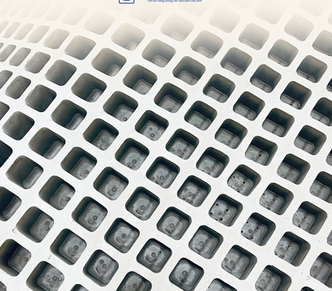 Nệm Cao Su Thiên Nhiên Trung Nguyên Than Hoạt Tính