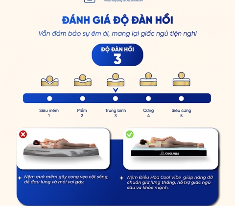Nệm Điều Hòa Cool Vibe Trung Nguyên