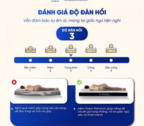 Nệm Foam Premium Trung Nguyên