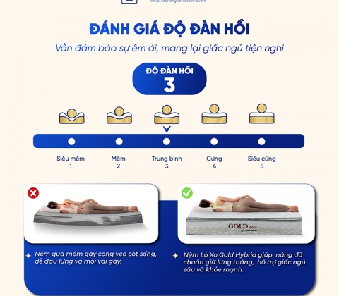 Nệm Lò Xo Túi Độc Lập Gold Hybrid Trung Nguyên