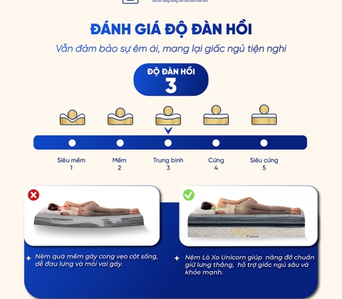 Nệm Lò Xo Túi Độc Lập Unicorn Trung Nguyên