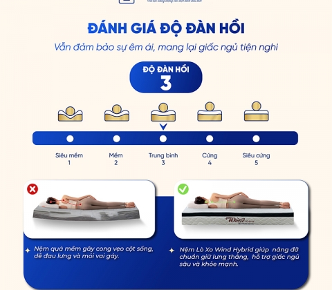 Nệm Lò Xo Túi Độc Lập Wind Hybrid Trung Nguyên