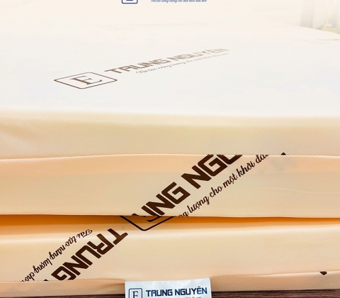 Nệm Rubber Foam Trung Nguyên