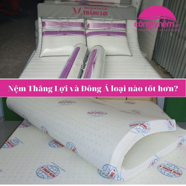 So sánh nệm Thắng Lợi và Đông Á loại nào tốt hơn?