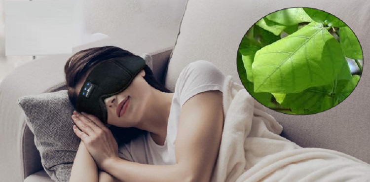 Dùng lá vông hấp trị mất ngủ